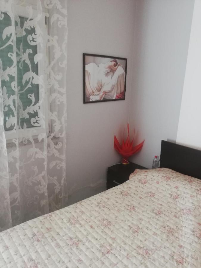 Home 12 Librazhet Екстериор снимка